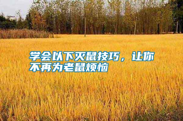 學(xué)會以下滅鼠技巧，讓你不再為老鼠煩惱