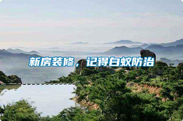 新房裝修，記得白蟻防治