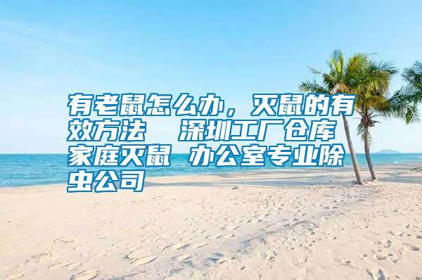 有老鼠怎么辦，滅鼠的有效方法  深圳工廠倉庫 家庭滅鼠 辦公室專業(yè)除蟲公司
