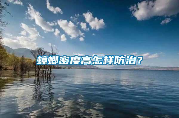 蟑螂密度高怎樣防治？