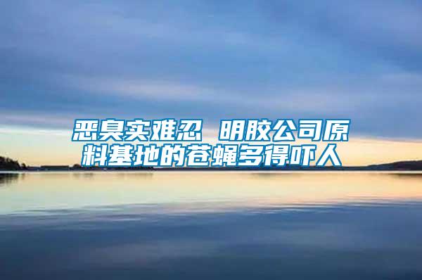 惡臭實(shí)難忍 明膠公司原料基地的蒼蠅多得嚇人