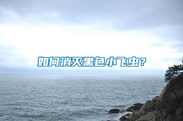 如何消滅黑色小飛蟲？