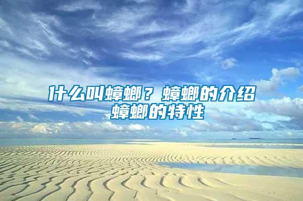 什么叫蟑螂？蟑螂的介紹 蟑螂的特性