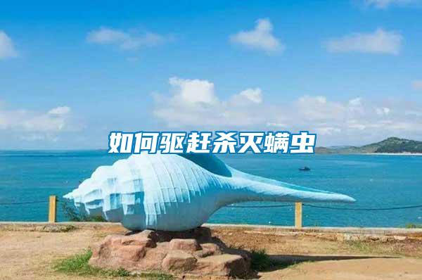 如何驅(qū)趕殺滅螨蟲(chóng)