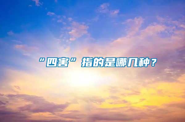 “四害”指的是哪幾種？