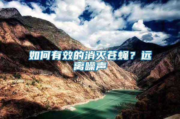 如何有效的消滅蒼蠅？遠(yuǎn)離噪聲