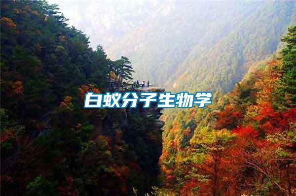 白蟻分子生物學