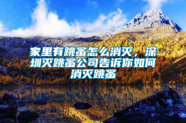 家里有跳蚤怎么消滅，深圳滅跳蚤公司告訴你如何消滅跳蚤