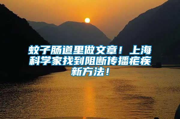 蚊子腸道里做文章！上?？茖W(xué)家找到阻斷傳播瘧疾新方法！
