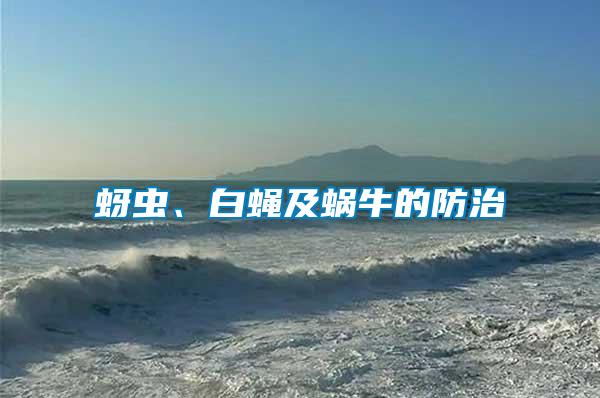 蚜蟲(chóng)、白蠅及蝸牛的防治