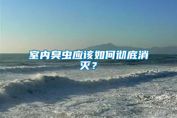 室內(nèi)臭蟲應(yīng)該如何徹底消滅？