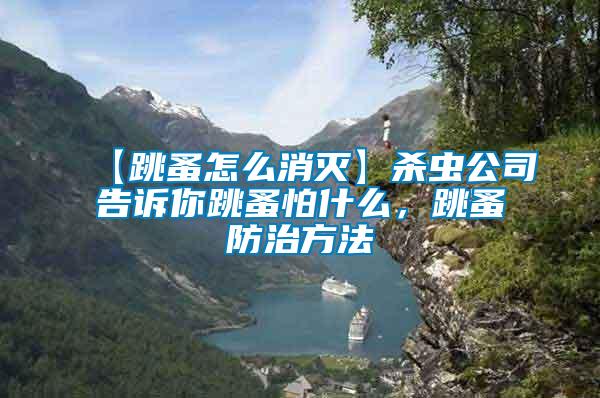 【跳蚤怎么消滅】殺蟲(chóng)公司告訴你跳蚤怕什么，跳蚤防治方法
