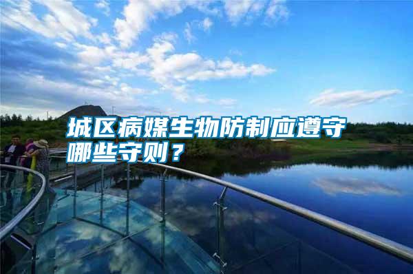 城區(qū)病媒生物防制應(yīng)遵守哪些守則？