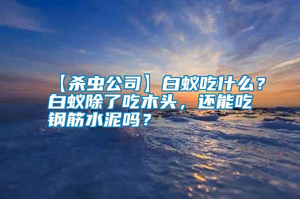 【殺蟲公司】白蟻吃什么？白蟻除了吃木頭，還能吃鋼筋水泥嗎？