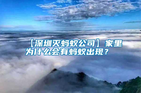【深圳滅螞蟻公司】家里為什么會(huì)有螞蟻出現(xiàn)？