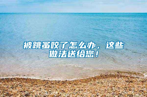 被跳蚤咬了怎么辦，這些做法送給您！