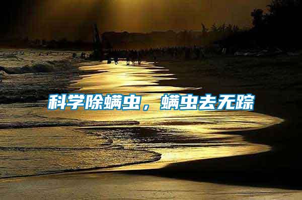 科學除螨蟲，螨蟲去無蹤