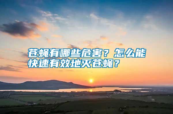 蒼蠅有哪些危害？怎么能快速有效地滅蒼蠅？