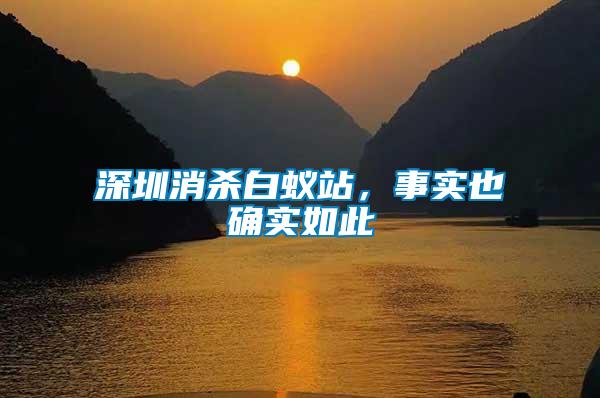 深圳消殺白蟻站，事實也確實如此