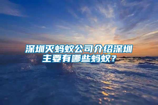 深圳滅螞蟻公司介紹深圳主要有哪些螞蟻？
