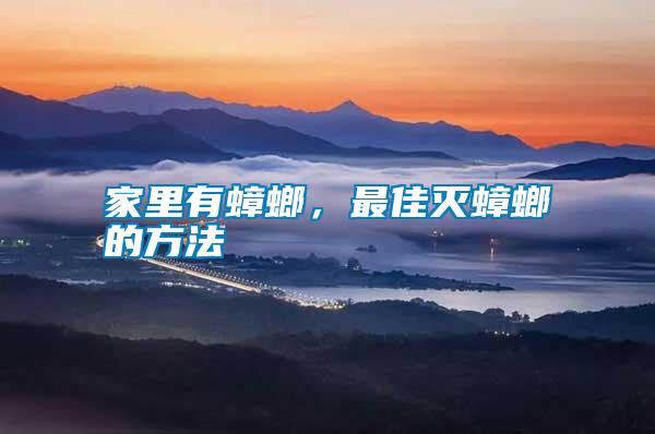 家里有蟑螂，最佳滅蟑螂的方法