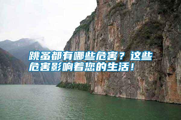 跳蚤都有哪些危害？這些危害影響著您的生活！