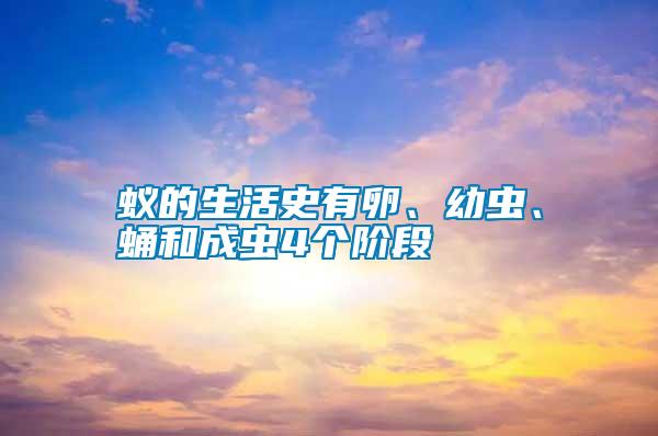 蟻的生活史有卵、幼蟲、蛹和成蟲4個階段