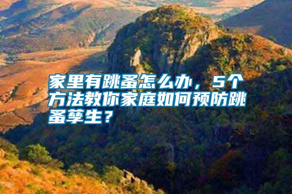 家里有跳蚤怎么辦，5個方法教你家庭如何預(yù)防跳蚤孳生？
