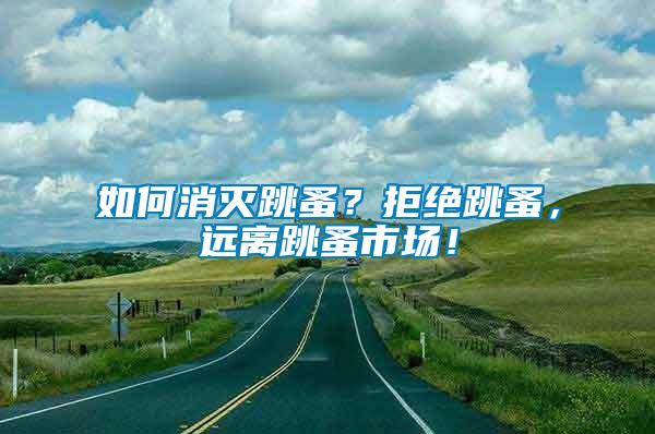 如何消滅跳蚤？拒絕跳蚤，遠(yuǎn)離跳蚤市場(chǎng)！