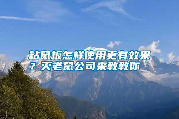 粘鼠板怎樣使用更有效果？滅老鼠公司來教教你