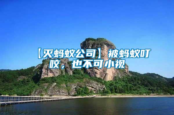 【滅螞蟻公司】被螞蟻叮咬，也不可小視