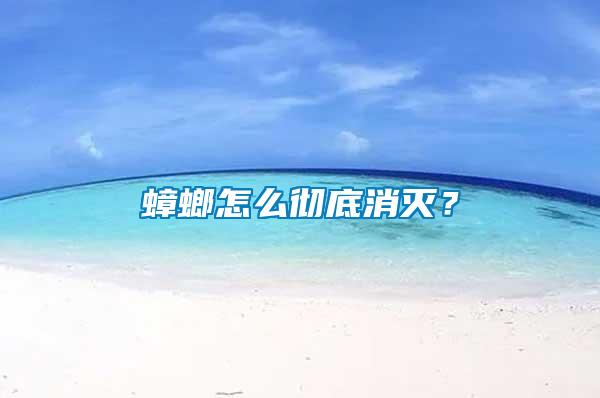 蟑螂怎么徹底消滅？