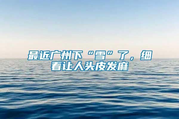 最近廣州下“雪”了，細(xì)看讓人頭皮發(fā)麻