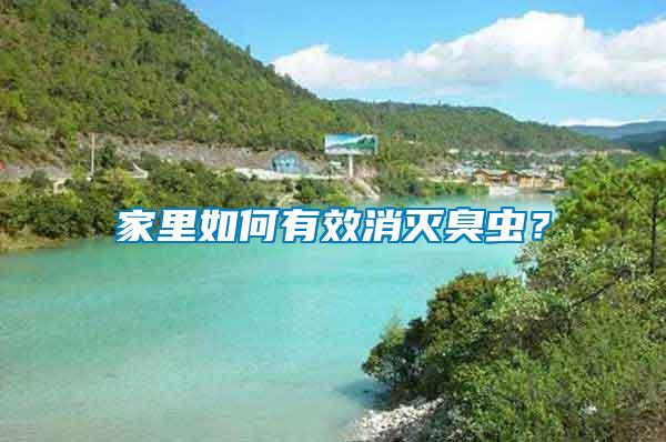 家里如何有效消滅臭蟲？