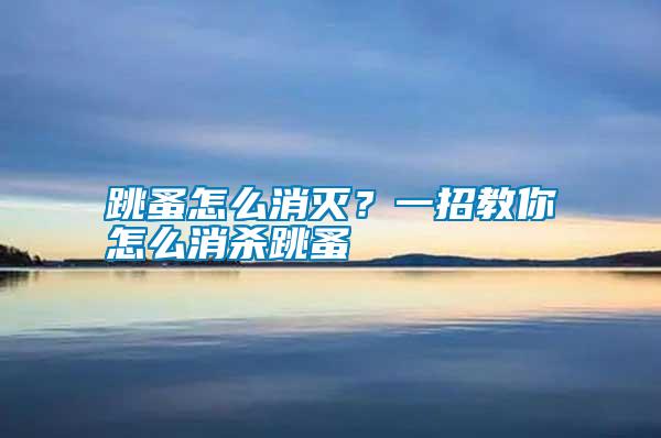 跳蚤怎么消滅？一招教你怎么消殺跳蚤