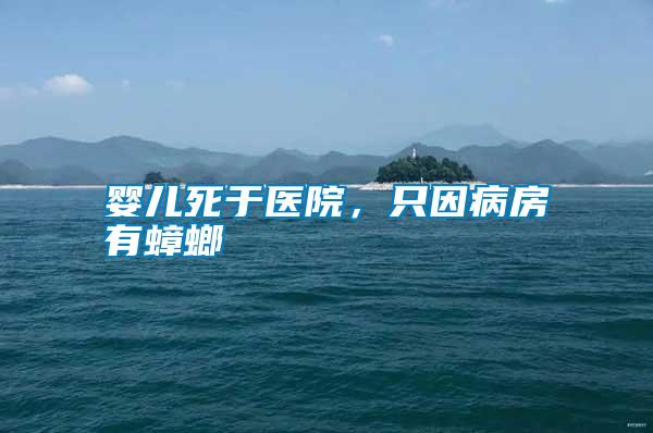 嬰兒死于醫(yī)院，只因病房有蟑螂