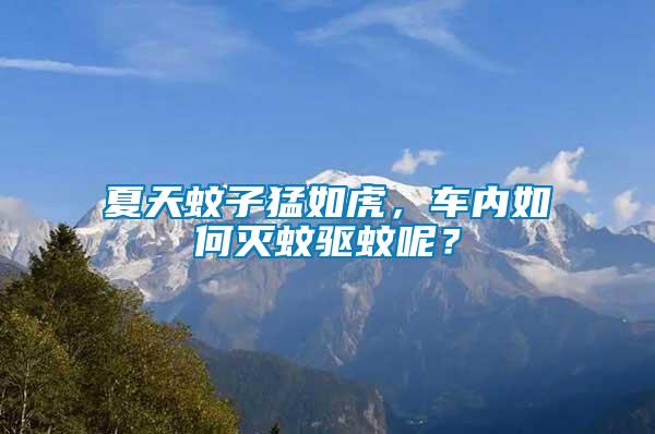 夏天蚊子猛如虎，車內如何滅蚊驅蚊呢？