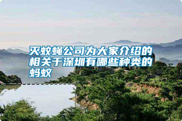 滅蚊蠅公司為大家介紹的相關(guān)于深圳有哪些種類(lèi)的螞蟻