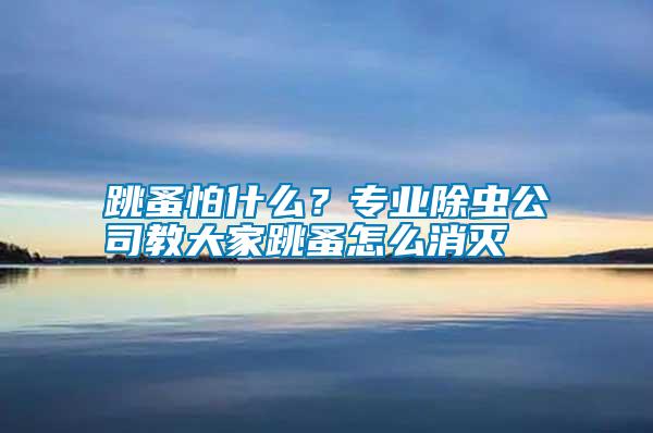 跳蚤怕什么？專業(yè)除蟲公司教大家跳蚤怎么消滅