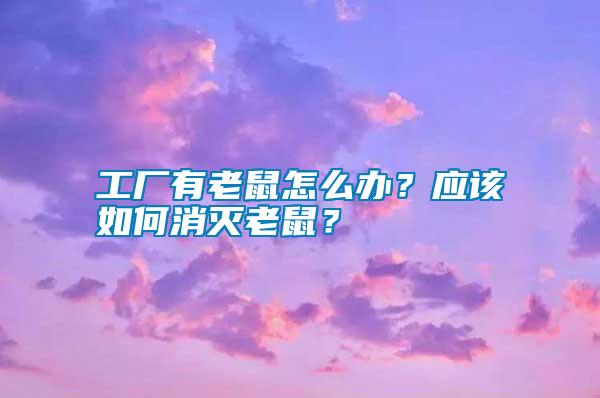 工廠有老鼠怎么辦？應(yīng)該如何消滅老鼠？