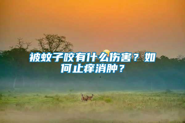 被蚊子咬有什么傷害？如何止癢消腫？