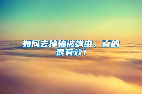 如何去掉棉被螨蟲，真的很有效！