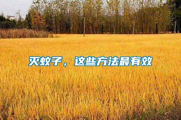 滅蚊子，這些方法最有效