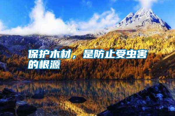 保護(hù)木材，是防止受蟲(chóng)害的根源