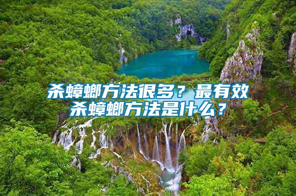 殺蟑螂方法很多？最有效殺蟑螂方法是什么？