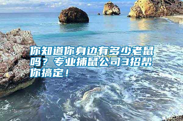 你知道你身邊有多少老鼠嗎？專業(yè)捕鼠公司3招幫你搞定！