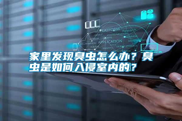 家里發(fā)現(xiàn)臭蟲怎么辦？臭蟲是如何入侵室內(nèi)的？