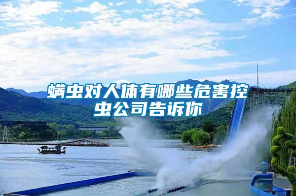 螨蟲對(duì)人體有哪些危害控蟲公司告訴你