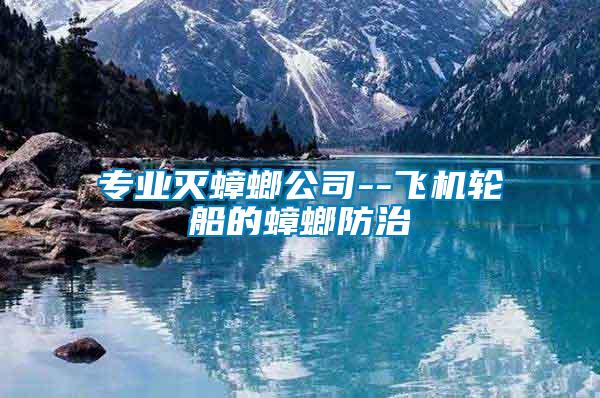 專業(yè)滅蟑螂公司--飛機輪船的蟑螂防治