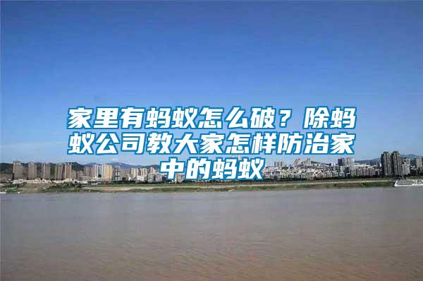 家里有螞蟻怎么破？除螞蟻公司教大家怎樣防治家中的螞蟻